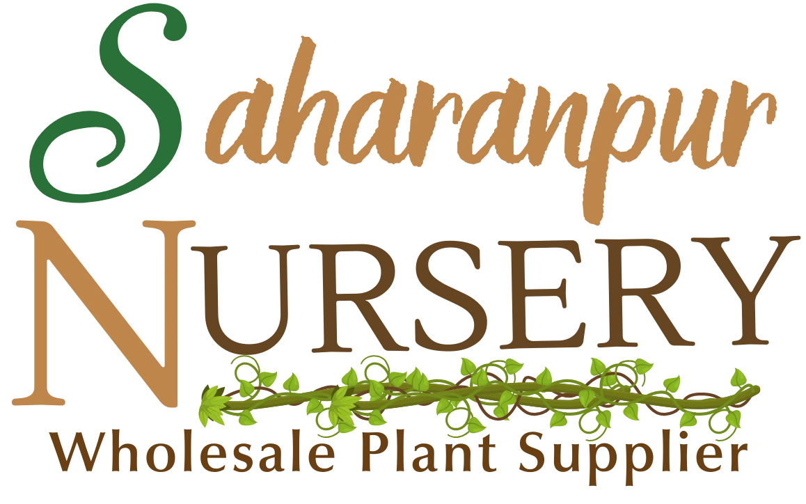 Saharanpur Nursery, logo, wholesale plant supplier, nursery in India