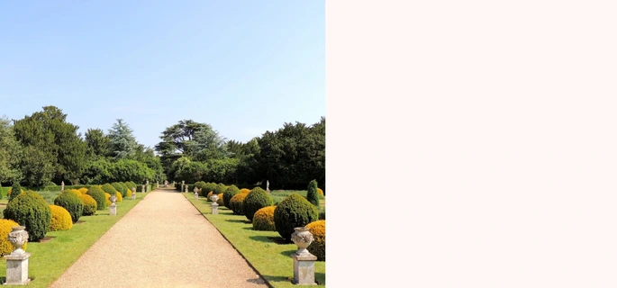 Small Banner 1, India's Largest Wholesale Plant Supplier in Saharanpur – Saharanpur Nursery, ,