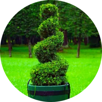 Topiary