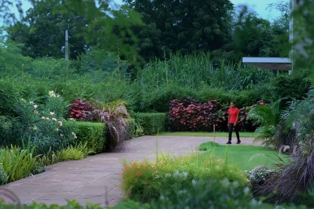 Landscape design Companies, Landscape Design Company, Landscape Companies in India, Landscaping in India, Landscape Service Providers, Bagwani Nursery, Wholesale Plant Supplier in India, Nursery in India, Saharanpur Nursery