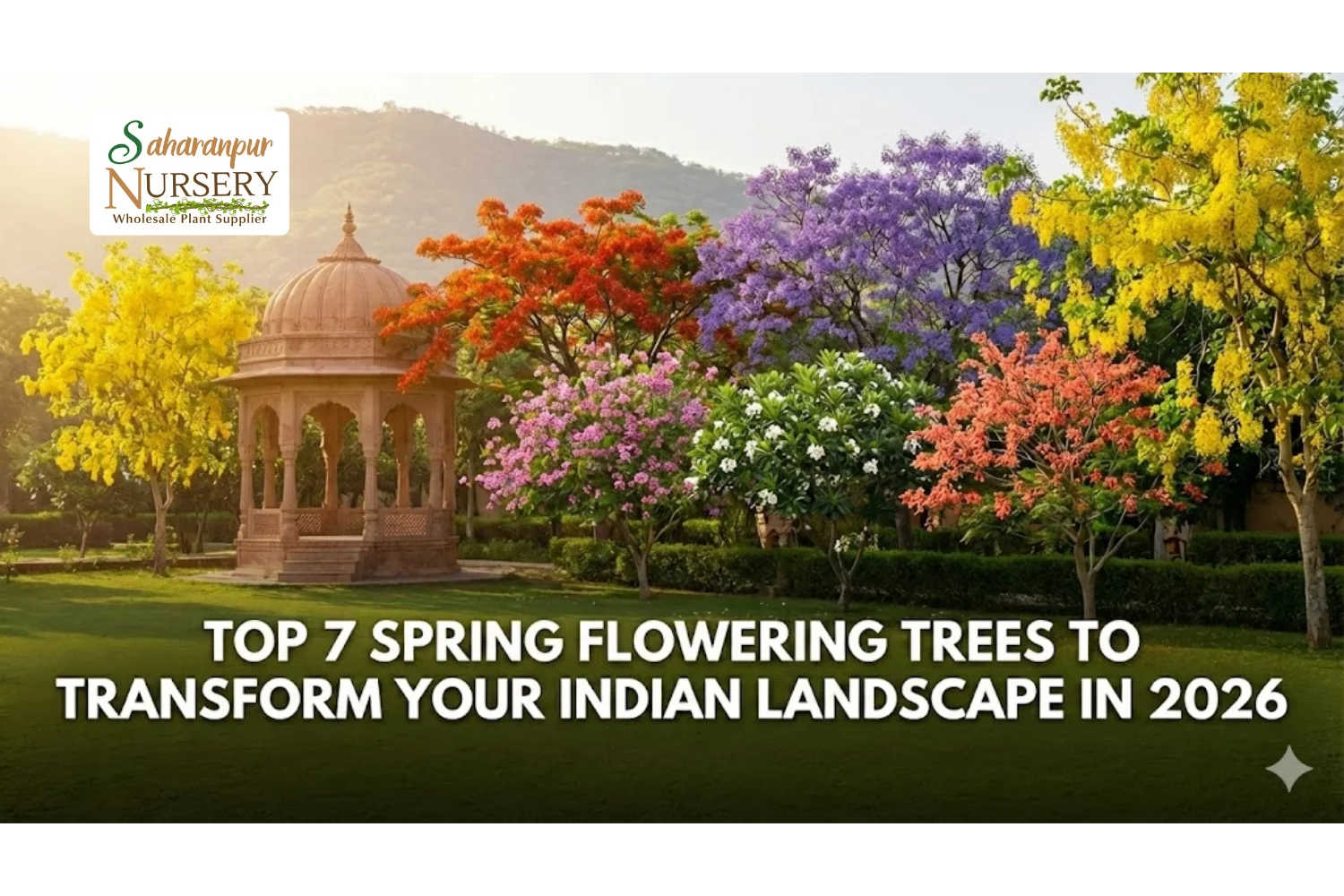 Top 7 Spring Flowering Trees 2026, Spring-Flowering Trees in India, best flowering trees for home garden, Low-maintenance flowering trees India, Fast-growing flowering trees India, Indian flowering trees list with names, summer flowering trees in India, Flowering Trees Supplier in India, Flowering Trees Nursery in India, Flower tree Supplier, Flower Tree Nursery, Saharanpur Nursery, Spring Trees in India, Spring Trees Nursery Supplier, Nursery in India, Wholesale Flower Trees Supplier,