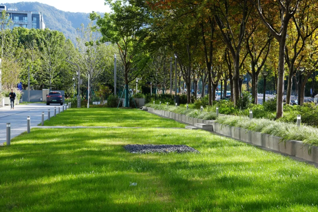 Nursery in Delhi, Wholesale Plant Nursery in Delhi, Plant Nursery in Delhi, Saharanpur Nursery, BIGGEST NURSERY IN DELHI, Cheapest Nursery in Delhi, WHOLESALE PLANT NURSERY IN DELHI ONLINE, Wholesale Plant Nursery Near me